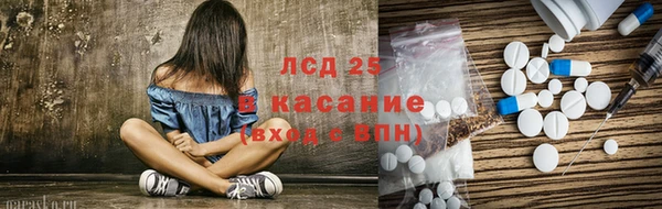 шишки Баксан
