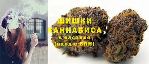 шишки Баксан